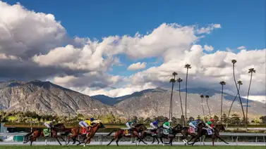 ¡Tremendo lio! Un juez ordena a BUSR pagar 3,64 millones de dólares al Grupo Stronach ¡Tremendo lio! Un juez ordena a BUSR pagar 3,64 millones de dólares al Grupo Stronach