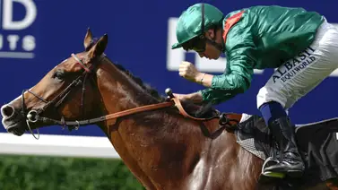 Premios Cartier: Calandagan nombrado Caballo del Año Cartier 2025 Premios Cartier: Calandagan nombrado Caballo del Año Cartier 2025