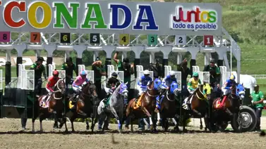 Para las jugadas exóticas: Potro que se perfila como uno de los favoritos para la R45 logró el ajuste más destacado del miércoles Para las jugadas exóticas: Potro que se perfila como uno de los favoritos para la R45 logró el ajuste más destacado del miércoles