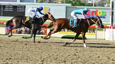 La clave está aquí: Así quedó el ajuste de la gran opción de Gaceta Hípica para el 5y6 dominical La clave está aquí: Así quedó el ajuste de la gran opción de Gaceta Hípica para el 5y6 dominical