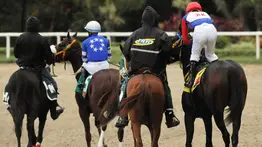 Aficionado hípico: Anuncian un retiro para el ciclo no válido de la R45 