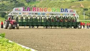 Estos son los ejemplares retirados para la jornada del domingo en La Rinconada 23-11-2025 Estos son los ejemplares retirados para la jornada del domingo en La Rinconada 23-11-2025