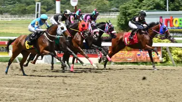 El "dato más corrido" que todos buscan: Descubre cuál es la yegua más sonada para la segunda válida El "dato más corrido" que todos buscan: Descubre cuál es la yegua más sonada para la segunda válida