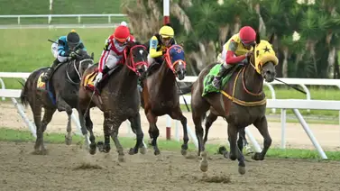 El datazo: Te decimos cuál es el "robo" que toda Venezuela espera para el 5y6 de la R45 El datazo: Te decimos cuál es el "robo" que toda Venezuela espera para el 5y6 de la R45