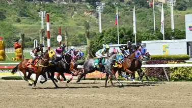 La Rinconada: Te revelamos a esta hora a los ejemplares con más fuerzas y la jugada larga para la R45 La Rinconada: Te revelamos a esta hora a los ejemplares con más fuerzas y la jugada larga para la R45
