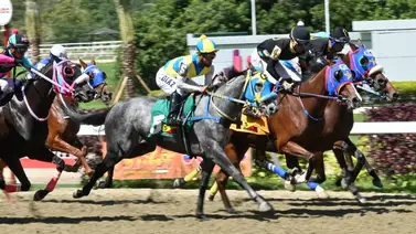 La Rinconada: Te revelamos a esta hora a los ejemplares con más fuerzas y la jugada larga para la R45 La Rinconada: Te revelamos a esta hora a los ejemplares con más fuerzas y la jugada larga para la R45