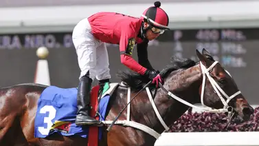 La Rinconada: Con el ajuste contenido de Li Tre Fratelli quedó listo para estar presente en el Clásico Burlesco (GII) La Rinconada: Con el ajuste contenido de Li Tre Fratelli quedó listo para estar presente en el Clásico Burlesco (GII)