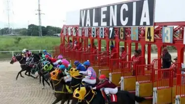 Estos son los ejemplares retirados para la jornada del sábado en Valencia 22-11-2025 Estos son los ejemplares retirados para la jornada del sábado en Valencia 22-11-2025