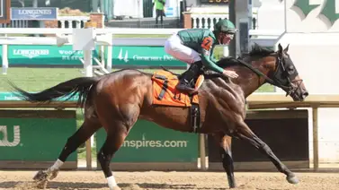 El apodado “Señor Churchill Downs” que estableció récord en Kentucky será retirado a la cría El apodado “Señor Churchill Downs” que estableció récord en Kentucky será retirado a la cría
