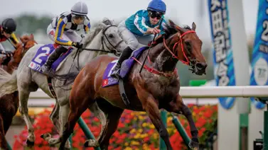 ¡Todo listo para el duelo de titanes! El caballo más rico del mundo ajustó para la Jockey Club Cup (Gr.2) ¡Todo listo para el duelo de titanes! El caballo más rico del mundo ajustó para la Jockey Club Cup (Gr.2)