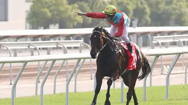 ¡Oficial! Ka Ying Rising el mejor velocista del mundo va contra nueve rivales en la Jockey Club Sprint (Gr.2) ¡Oficial! Ka Ying Rising el mejor velocista del mundo va contra nueve rivales en la Jockey Club Sprint (Gr.2)