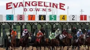 Locura de atar: Un carro ambulancia arremete contra ejemplares cuartos de milla en plena carrera oficial Locura de atar: Un carro ambulancia arremete contra ejemplares cuartos de milla en plena carrera oficial