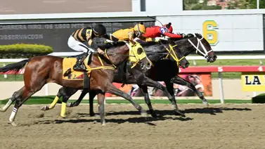 Jinete profesional sancionado en La Rinconada por los hechos ocurridos en una de las pruebas selectivas de la R45 Jinete profesional sancionado en La Rinconada por los hechos ocurridos en una de las pruebas selectivas de la R45