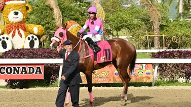 ¡Victoria con título! Samuel Yánez combina las riendas y los estudios de leyes al ganar en La Rinconada ¡Victoria con título! Samuel Yánez combina las riendas y los estudios de leyes al ganar en La Rinconada