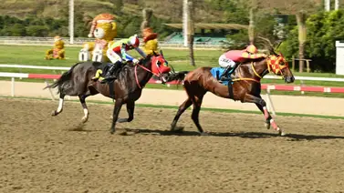 Las razones detrás del descalabro de dos importados que formaron parte de la nómina en el inicio de las válidas Las razones detrás del descalabro de dos importados que formaron parte de la nómina en el inicio de las válidas