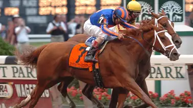¡Lamentable noticia! La heroína Rags To Riches vencedora del Belmont Stakes ha fallecido ¡Lamentable noticia! La heroína Rags To Riches vencedora del Belmont Stakes ha fallecido
