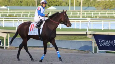 Gran debut: El hermano materno de un campeón del caribe se presenta en La Rinconada Gran debut: El hermano materno de un campeón del caribe se presenta en La Rinconada