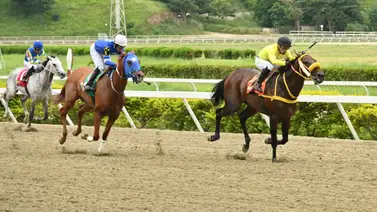 ¡Cuidado! Reaparece el que casi gana: 200 metros menos tras 133 días de ausencia en La Rinconada ¡Cuidado! Reaparece el que casi gana: 200 metros menos tras 133 días de ausencia en La Rinconada