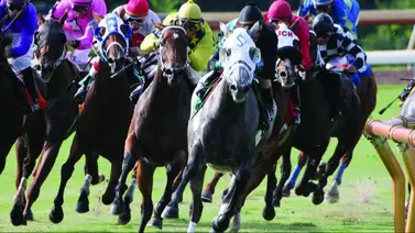 Bienvenido: Entérate de la llegada de otro ejemplar importado propiedad del ex grandes ligas Víctor Martínez a La Rinconada Bienvenido: Entérate de la llegada de otro ejemplar importado propiedad del ex grandes ligas Víctor Martínez a La Rinconada