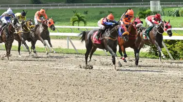 El terror de los favoritos: Purasangre bajado de lote promete destruir los cuadros en La Rinconada El terror de los favoritos: Purasangre bajado de lote promete destruir los cuadros en La Rinconada