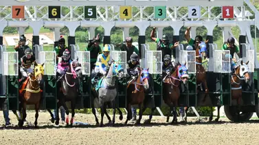 No lo olviden: Ejemplar que va a su estreno podría ser jugado como la sorpresa para el ciclo no válido de la R46 No lo olviden: Ejemplar que va a su estreno podría ser jugado como la sorpresa para el ciclo no válido de la R46