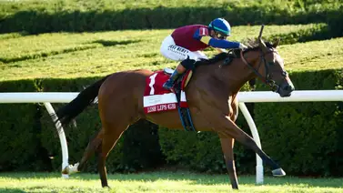 Lush Lips, será centro de atención en los $300,000 del Mrs. Revere (G2) Lush Lips, será centro de atención en los $300,000 del Mrs. Revere (G2)