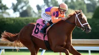 Kentucky Derby: Further Ado ganador por 20 cuerpos en su debut estará entre siete para el Kentucky Jockey Club Grado 2 Kentucky Derby: Further Ado ganador por 20 cuerpos en su debut estará entre siete para el Kentucky Jockey Club Grado 2