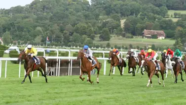 Regresan las carreras en grama luego de dos años en este hipódromo en Estados Unidos Regresan las carreras en grama luego de dos años en este hipódromo en Estados Unidos