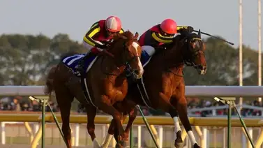 La heroína japonesa Gentildonna falleció a los 16 años La heroína japonesa Gentildonna falleció a los 16 años