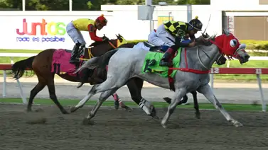 Radiografía del 5y6: Así queda el ajuste táctico de la línea de Gaceta Hípica que no lo puedes ignorar Radiografía del 5y6: Así queda el ajuste táctico de la línea de Gaceta Hípica que no lo puedes ignorar