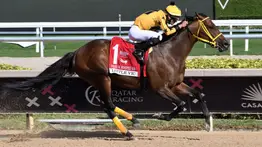 Si así llueve que no escampe: Mira cómo se prepara Little Vic para el mes de diciembre en La Rinconada