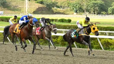 Antes de sellar: Entérate del ajuste de una sorpresa de Gaceta Hípica que definirá su victoria en el 5y6 dominica Antes de sellar: Entérate del ajuste de una sorpresa de Gaceta Hípica que definirá su victoria en el 5y6 dominica