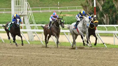 La sorpresa guardada: El 'Dato atrasado' ajustó contenido y sale a la pista en la reunión 46 La sorpresa guardada: El 'Dato atrasado' ajustó contenido y sale a la pista en la reunión 46