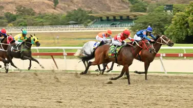 El 'Mega Batacazo' de la reunión 46: Atentos al ejemplar con ajuste veloz y contenido en La Rinconada El 'Mega Batacazo' de la reunión 46: Atentos al ejemplar con ajuste veloz y contenido en La Rinconada