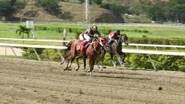 ¡Cuidado con la Sorpresa! No la subestimen: En su ajuste dejó remate de 12"2 en La Rinconada ¡Cuidado con la Sorpresa! No la subestimen: En su ajuste dejó remate de 12"2 en La Rinconada