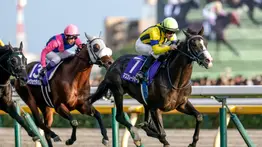 ¡El desafío definitivo en Tokio! Descubre la lista completa de nominados a la Japan Cup 2025 que electrizarán el domingo