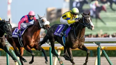 ¡El desafío definitivo en Tokio! Descubre la lista completa de nominados a la Japan Cup 2025 que electrizarán el domingo ¡El desafío definitivo en Tokio! Descubre la lista completa de nominados a la Japan Cup 2025 que electrizarán el domingo