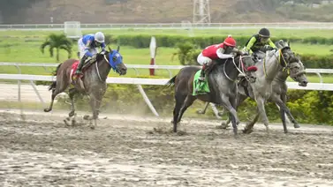 El reto impresionante: La estadística que pone a prueba a la importada Tiz Erin en La Rinconada El reto impresionante: La estadística que pone a prueba a la importada Tiz Erin en La Rinconada
