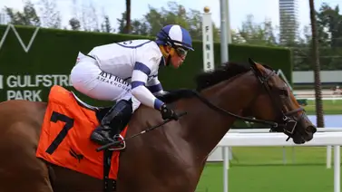 Javier Castellano estampa su clase: Triunfa con una yegua de Brian Lynch en el vibrante opening day del Championship Meet Javier Castellano estampa su clase: Triunfa con una yegua de Brian Lynch en el vibrante opening day del Championship Meet