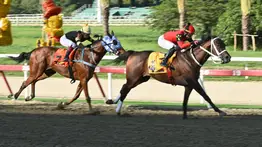 ¡Alerta! Este ejemplar que así como ajustó podría convertirse en la gran jugada para el Loto Hípico