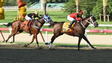 ¡Alerta! Este ejemplar que así como ajustó podría convertirse en la gran jugada para el Loto Hípico ¡Alerta! Este ejemplar que así como ajustó podría convertirse en la gran jugada para el Loto Hípico