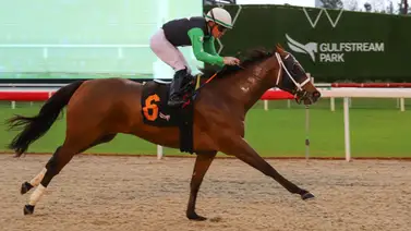 ¡Imparable! Emisael Jaramillo logra "Back to Back" en el opening day del Championship Meet de Gulfstream Park ¡Imparable! Emisael Jaramillo logra "Back to Back" en el opening day del Championship Meet de Gulfstream Park
