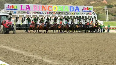 La Rinconada: Datos de Última Hora para el 30-11-2025 La Rinconada: Datos de Última Hora para el 30-11-2025