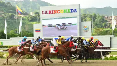 No indagues por otro lado: Aquí te presentamos a esta hora a los ejemplares con más fuerzas y la jugada larga para conseguir en la R46 No indagues por otro lado: Aquí te presentamos a esta hora a los ejemplares con más fuerzas y la jugada larga para conseguir en la R46