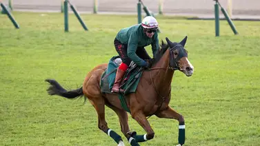 La máquina a tono: Así quedó la preparación de Calandagan previo a su participación en el Japan Cup 2025 La máquina a tono: Así quedó la preparación de Calandagan previo a su participación en el Japan Cup 2025
