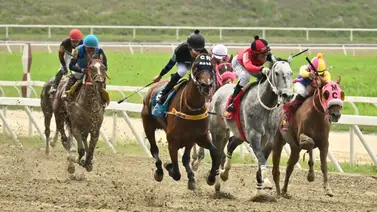 La clave para el 5y6: Aquí te damos la información más "regada" para la tercera válida de la R46 La clave para el 5y6: Aquí te damos la información más "regada" para la tercera válida de la R46