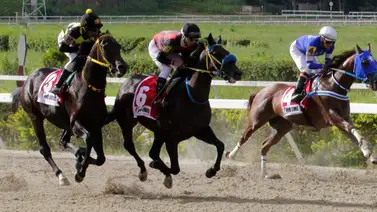 No indagues: Aquí te presentamos a esta hora a los ejemplares con más fuerzas y la jugada larga para conseguir en la R46 No indagues: Aquí te presentamos a esta hora a los ejemplares con más fuerzas y la jugada larga para conseguir en la R46