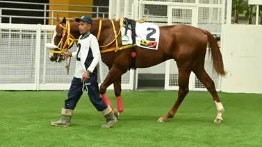 La quinta carrera de La Rinconada donde cada hípico tiene un dato se presenta un retiro de última hora La quinta carrera de La Rinconada donde cada hípico tiene un dato se presenta un retiro de última hora