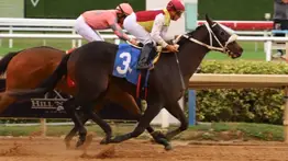 ¡Sorpresa en Gulfstream! Potro de $12.000 vence al ejemplar más caro de la carrera