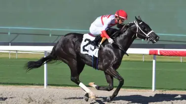 Por segunda vez: Yolber Torres quedó campeón de jinete aprendiz en Estados Unidos Por segunda vez: Yolber Torres quedó campeón de jinete aprendiz en Estados Unidos